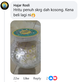 10-sweeto tart nenas gulung cheese bunga